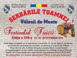 afis_festival_tuica_2014 (1)